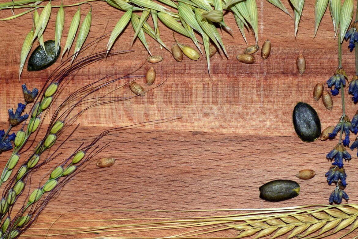 Thanksgiving-menu-ideas