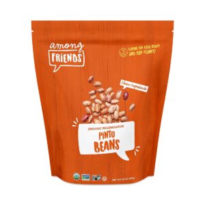 Among Friends Organic Regenerative Pinto Beans 14 oz pouch