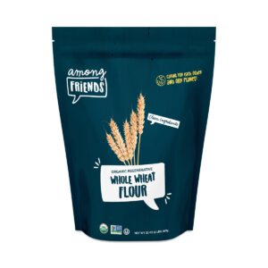 Among Friends Organic Regenerative Whole Wheat Flour 32 oz pouch