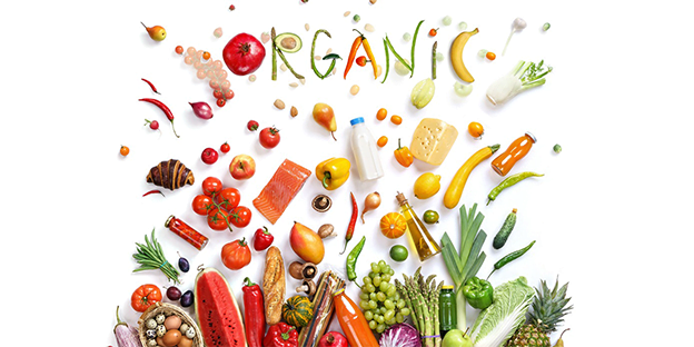 What Are The Benefits of Organic Food for a Family on a Budget?